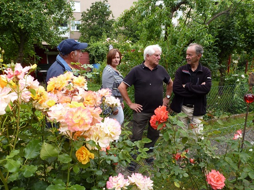 Gartenbegehung 2014 3